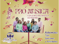 Educacion Musical en Vivo