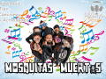 Educacion Musical en Vivo