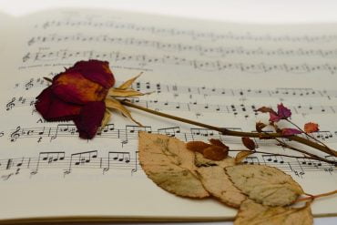 Pack Crucigramas Musicales y Sopas de Letras Musicales 1