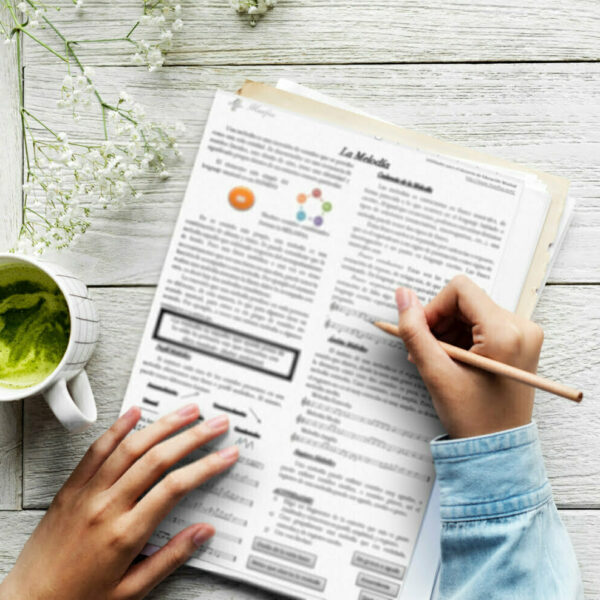 Apunte sobre la melodía y su clasificación